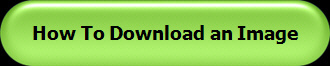 How To Download an Image